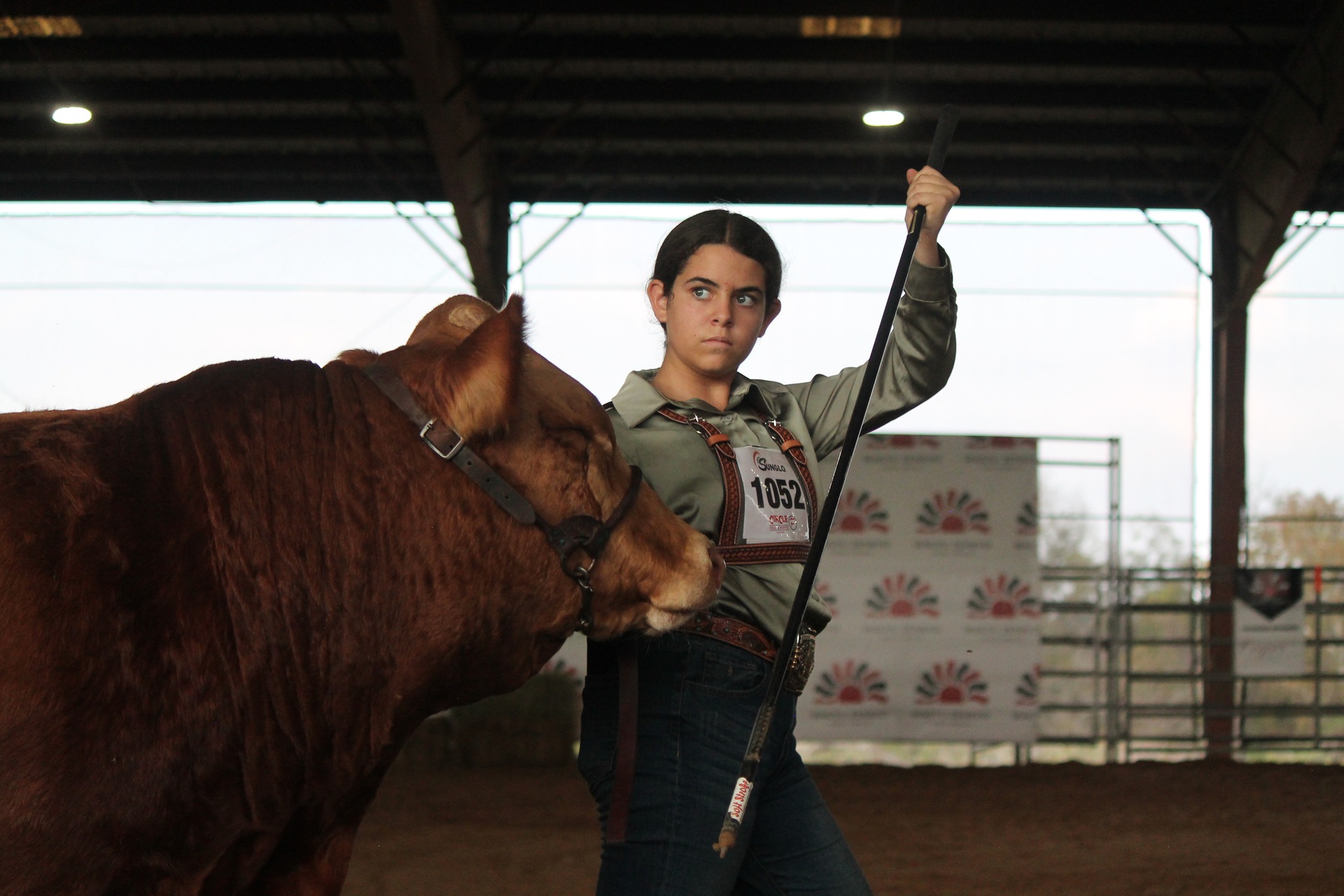 Youth exhibitor in show ring